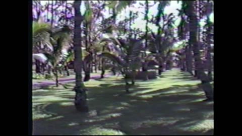 Spring 1988 - Dick Sutphen & Tara Sutphen