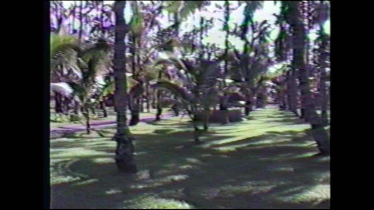 Spring 1988 - Dick Sutphen & Tara Sutphen