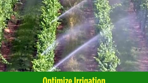 Buy Agricultural Chemicals for Healthy Crops