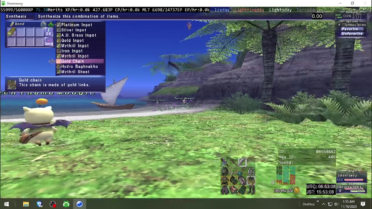 Playing Final Fantasy XI Online
