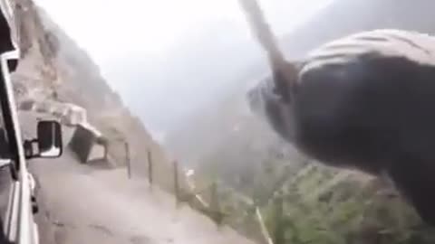 My Dreams Be Like