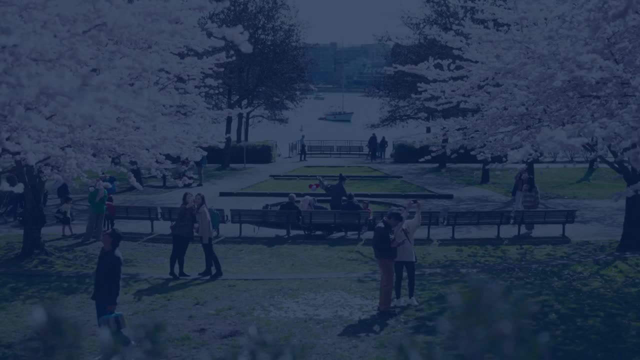 Express Entry Services In Surrey BC