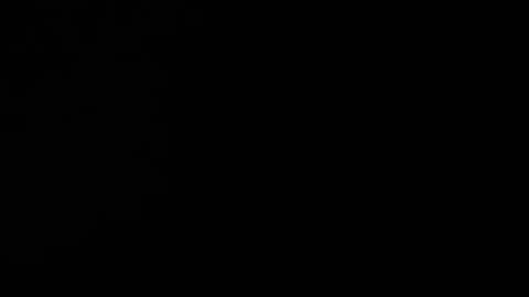 07/05/25 Blackout Andy VOD: "All women are feds sub to IBL"