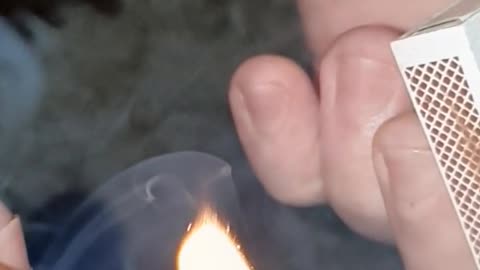 Daily Horoscope | Leo 🌟