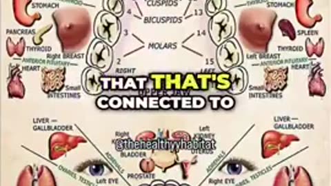 Barbara O'Neill - How your teeth affect the rest of your body