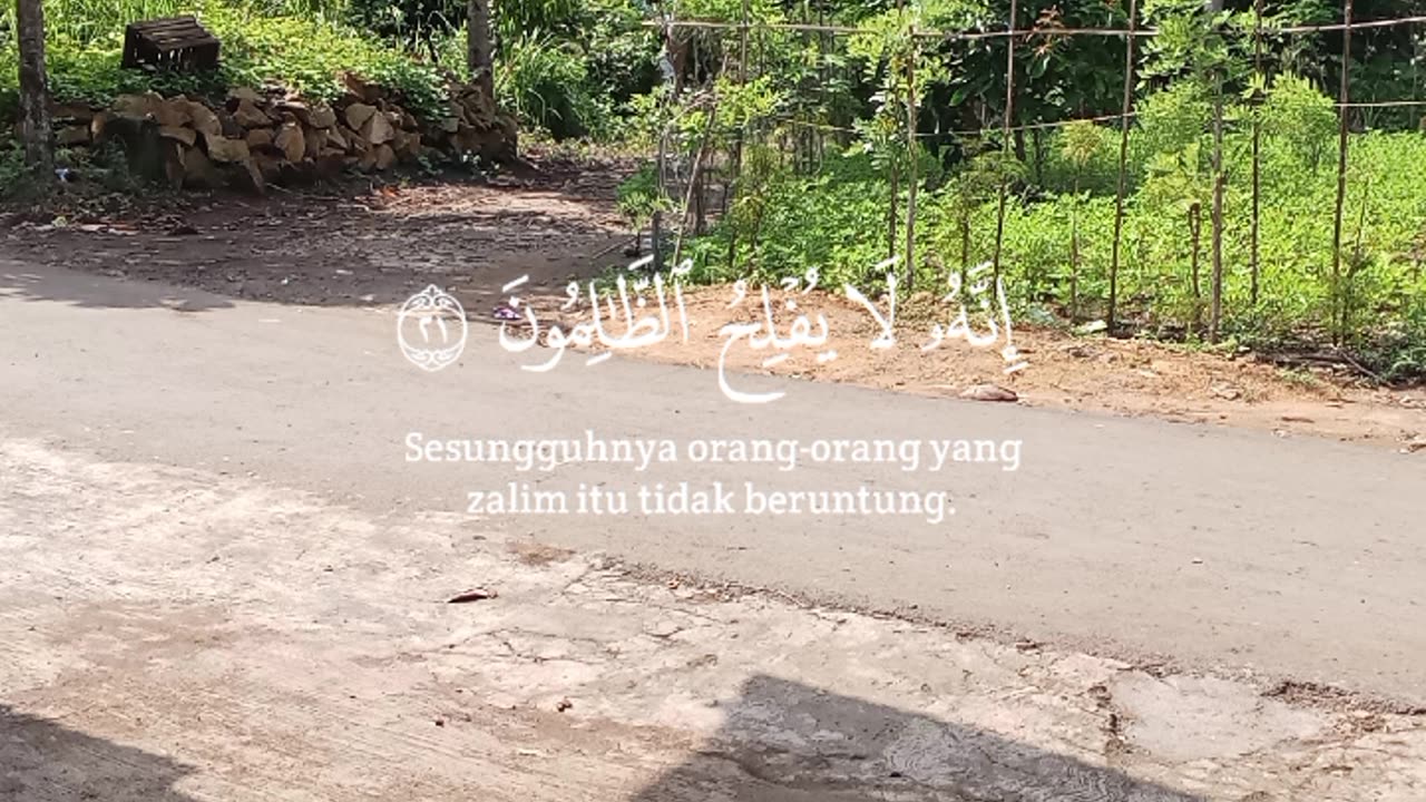 Front yard of the house