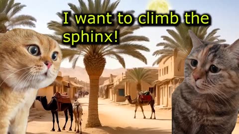 What Do You Do While You're in Egypt? (Catmemes) (Ep.7)