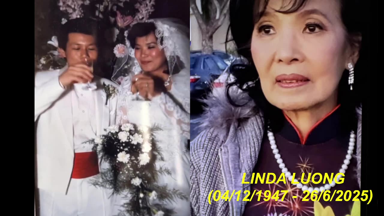 NÀNG NHƯ MỘT CÁNH HỒNG PHAI!