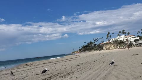 Beautiful Laguna Beach (my favorite place to relax)