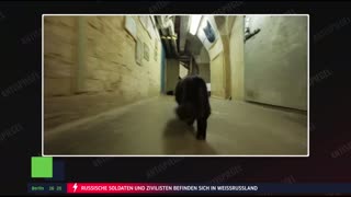 RT DE | 24/7 Live-TV