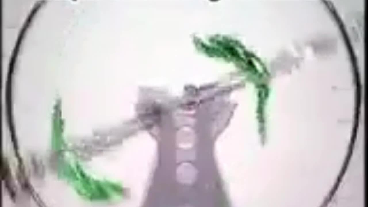 Baby Einstein - Mozart