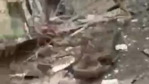 Ukraine war combat footage july 21 2025
