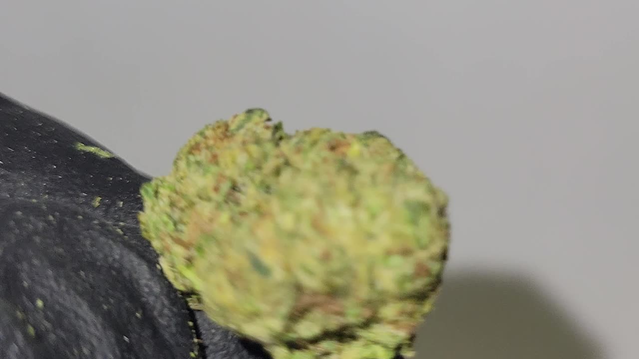 Ice Cream Pie THCA Ounces