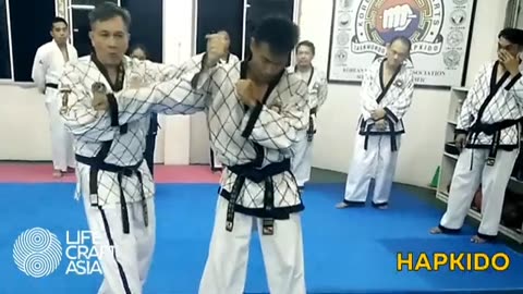 Hapkido