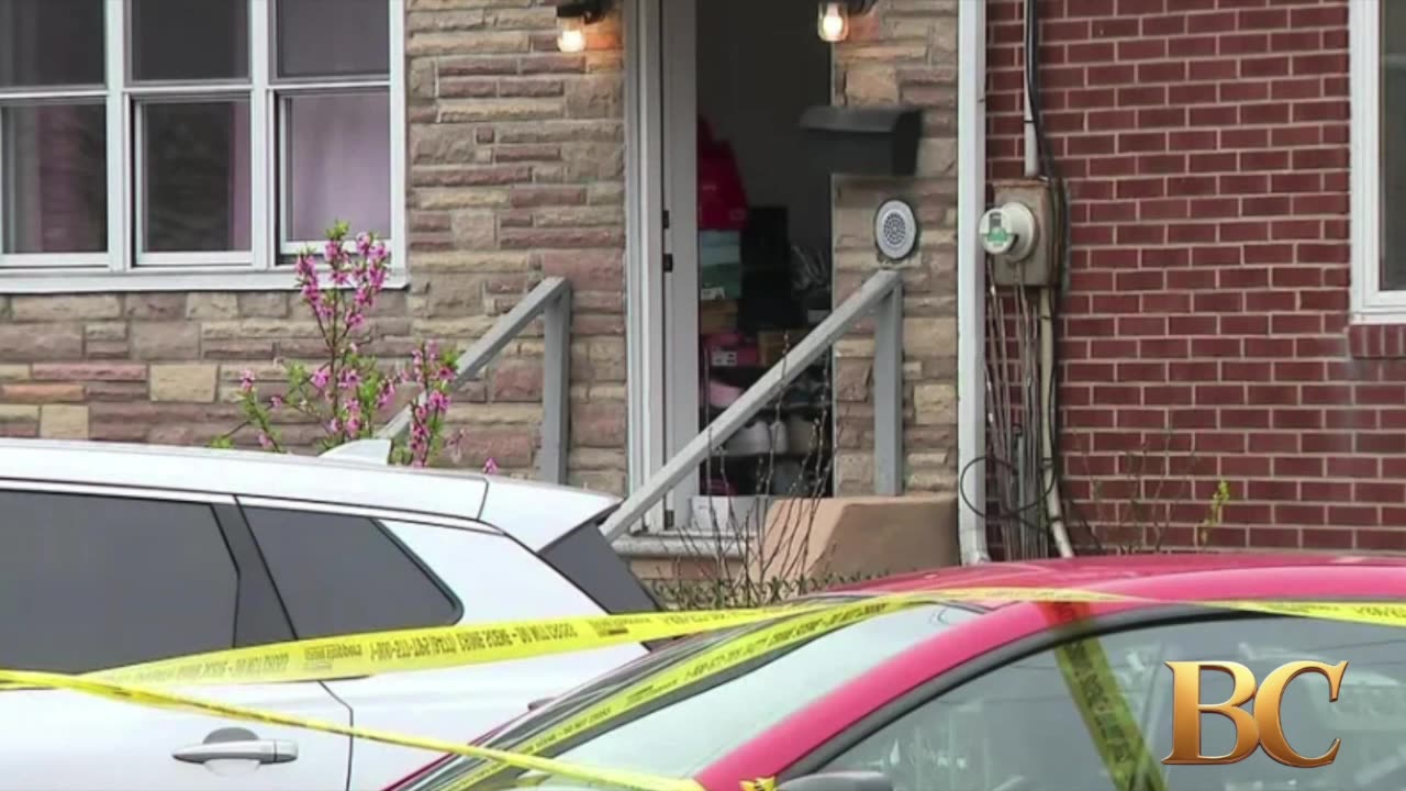 Maniac with meat cleaver attacks several kids before he’s shot by NYPD