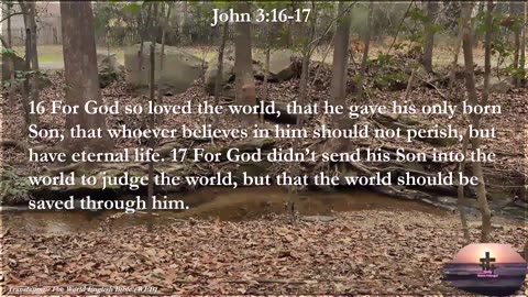 John 3:16-17