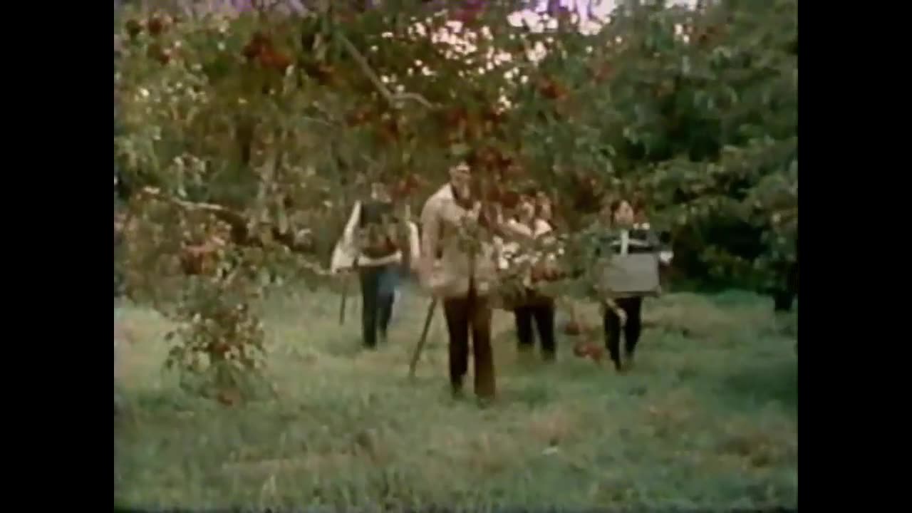 Classic Sesame Street Episode 3036