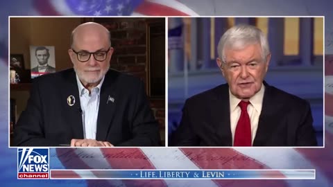 Newt Gingrich: The left is 'terrified' and lying relentlessly