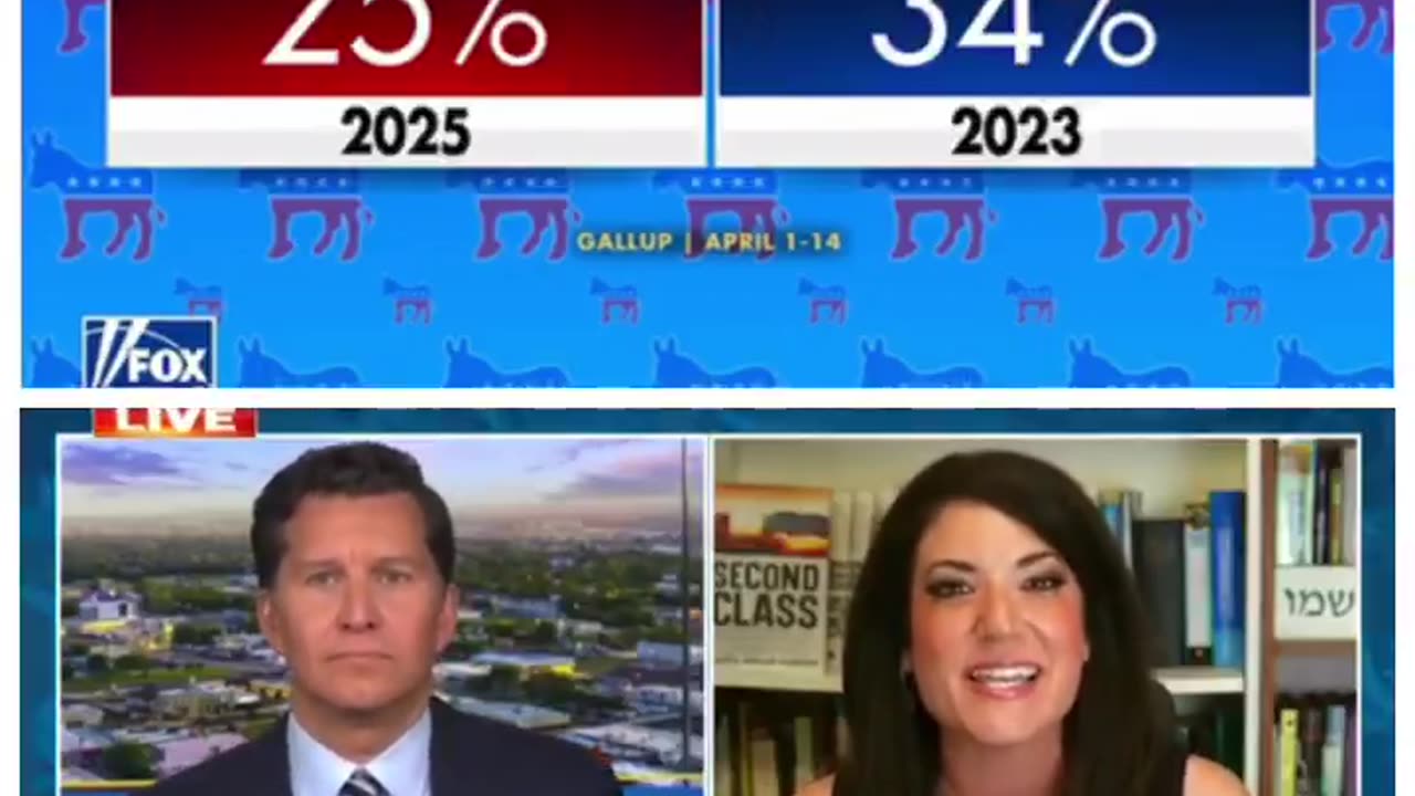 DEMS SAY THE MEDIA IS TO BLAME