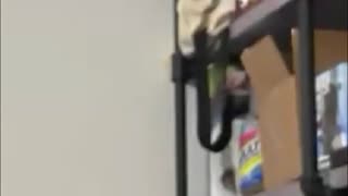 Taco Success Story - From Single Mom to Millionaire!