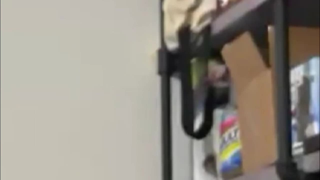 Taco Success Story - From Single Mom to Millionaire!