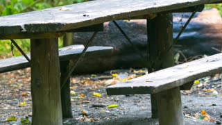 ♦️How to Make a Great Day Every day / Get into the Routine/ 💕Give Hope and Love