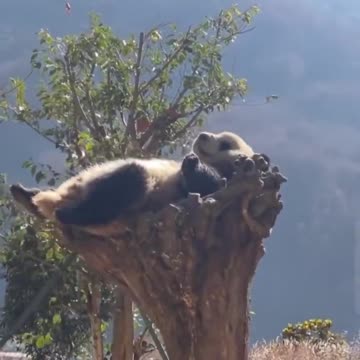 Living the best life..