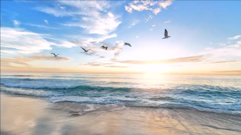 30 minutes of Beautiful Relaxing Piano music with Beautiful Nature