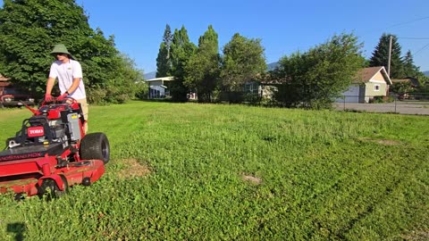 After All These Years in the Wild! - VJN639845TY #PlantifyLifeUS #AbandonedFinds