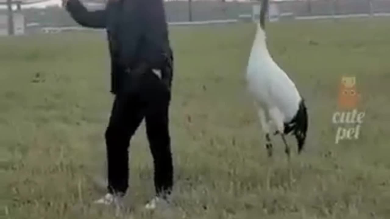 Funny fails 😅