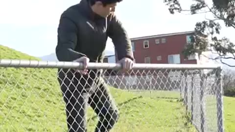 How Animals Get Over a Fence (With Emojis)
