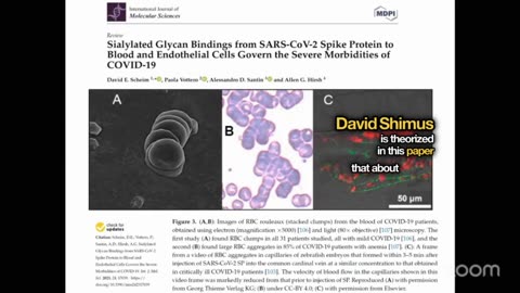 Long COVID Risk: Vaccine vs. Omicron