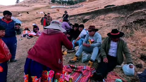 A traditional Andean festival: the branding of livestock
