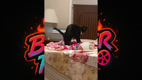 "Cats Being Surprisingly Helpful - You won't Believe #3!"