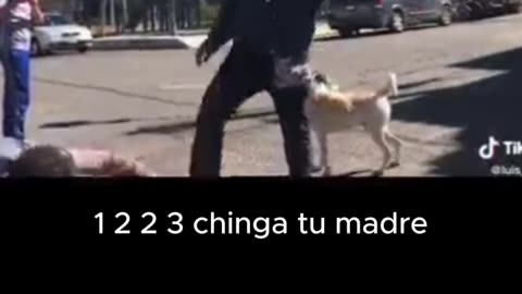 Mr. Deceives Child