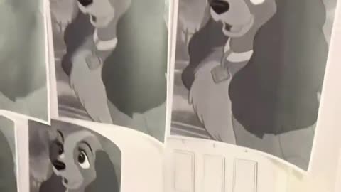 😱🤔 What’s Going On Here? You Won’t Believe This! | FunFM
