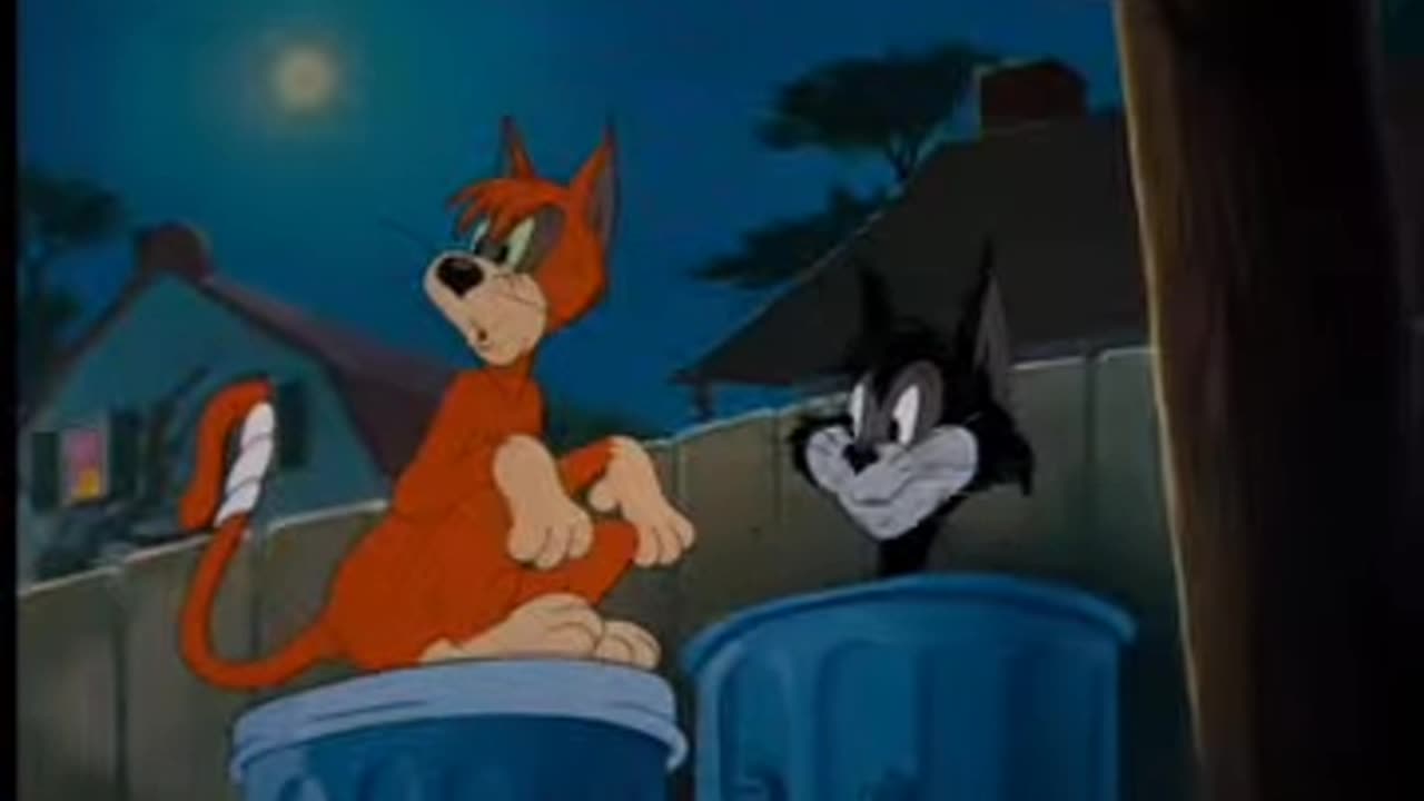 Tom and Jerry