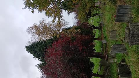 A man came in the dark shouting HAVE U GOT FUKING KIDSXIN THERE