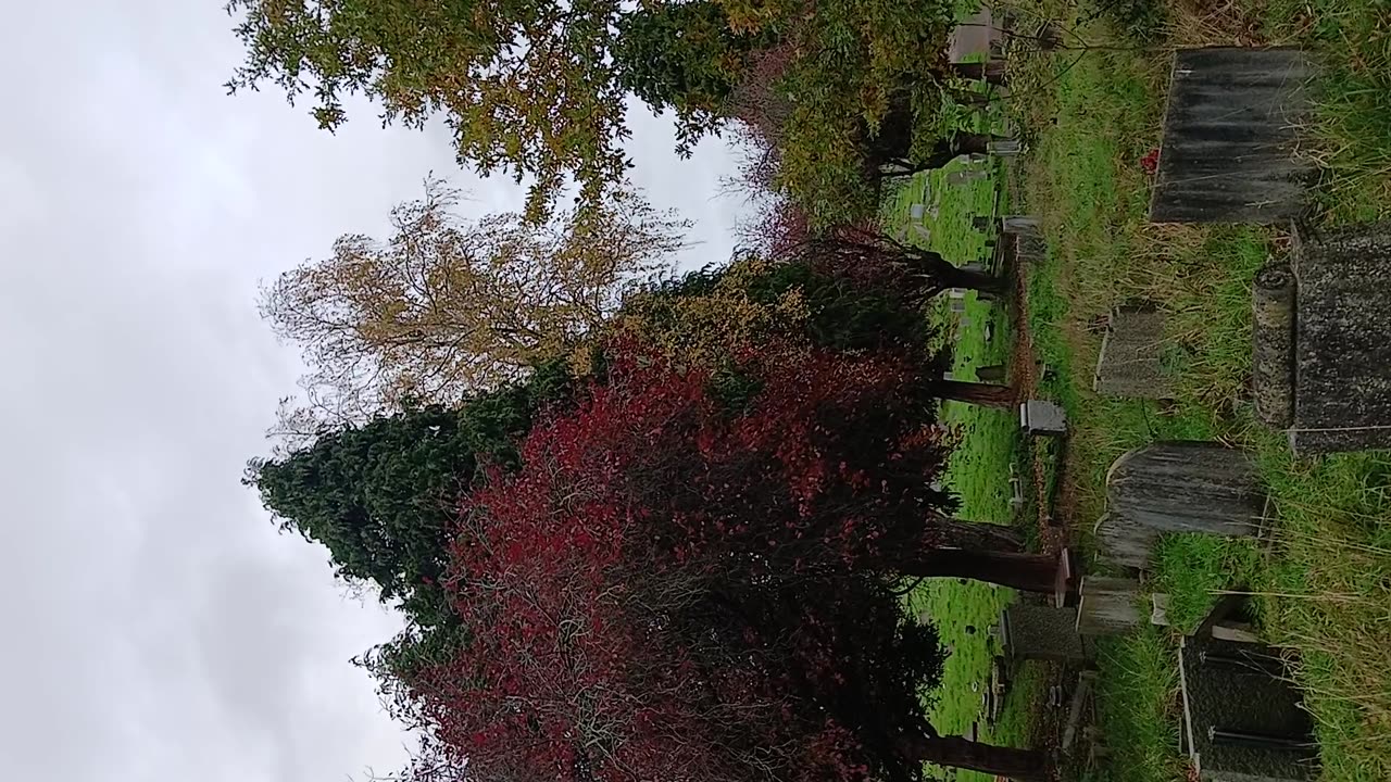 A man came in the dark shouting HAVE U GOT FUKING KIDSXIN THERE