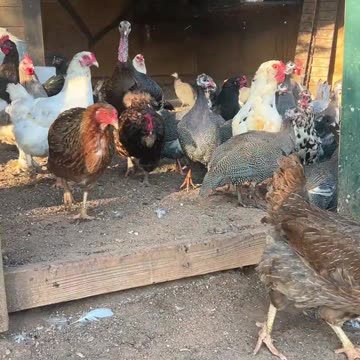 Who wants to come out and play?