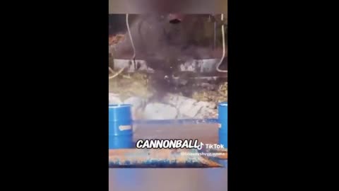 Dangers of being a line handler