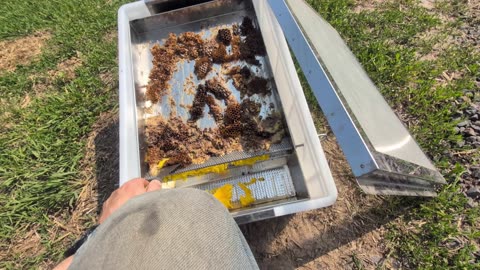 Melting the Bees Wax