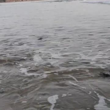 The Morning Continues