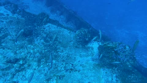 Wreck Diving on the Spiegel Grove Key Largo Florida - 91 Feet Deep