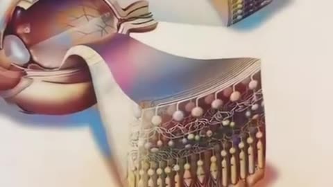 If you don’t know God exists… Watch this It won’t just show you — It will awaken something within