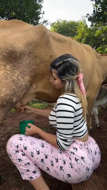 Amazing Butt Country Sexy Girl Milking Cow