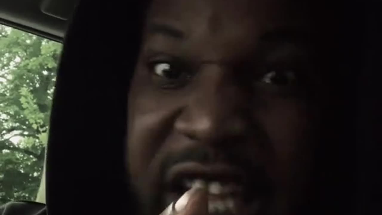 True Story - What Happened To The Lightning Bugs