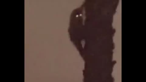 Cryptid a pris en vidéo ce qui est dans cette vidéo effrayante!