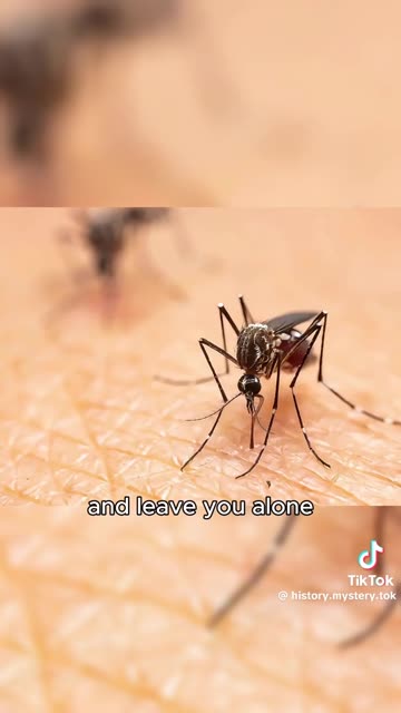 4 DISTURBING FACTS ABOUT MOSQUITOS