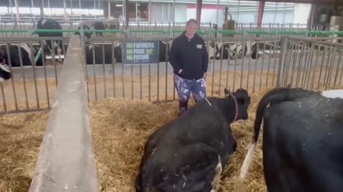 Farmers Claim Cows Dying After Being Fed Bill Gates’ Bovaer Feed in Denmark